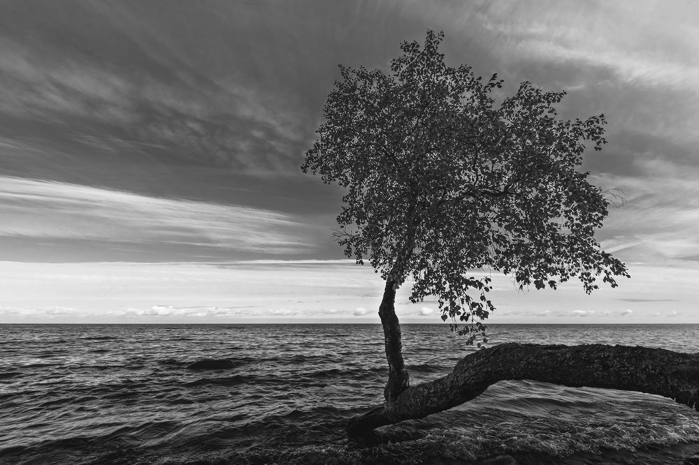 Photograph by Елена Амозова