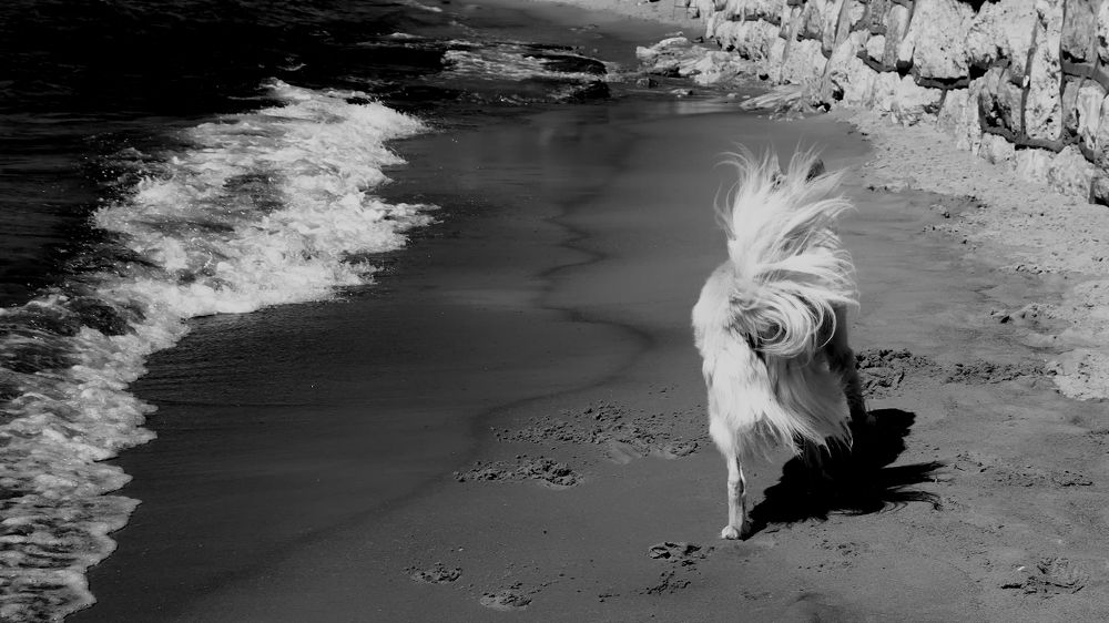 Two waves... Две волны...