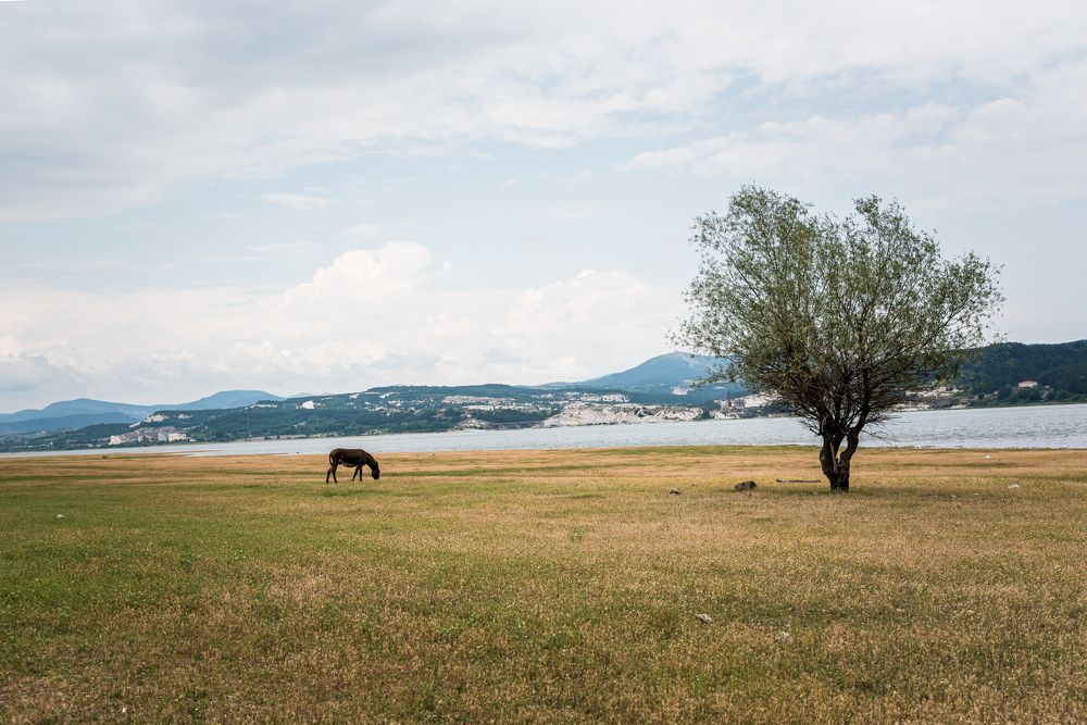 Фотография автора Елена Караилиева