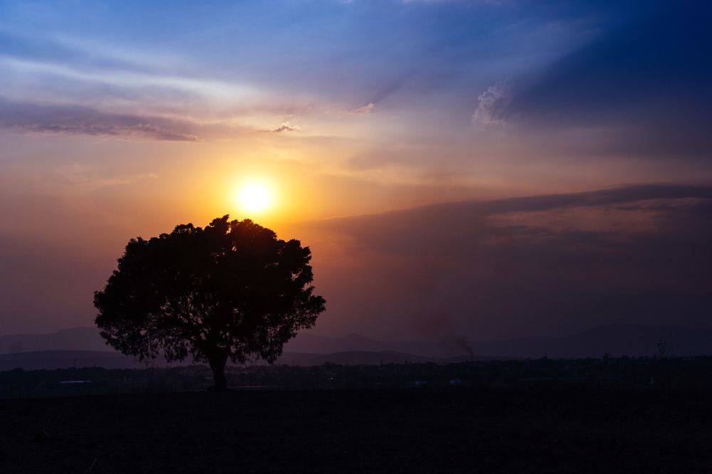 Photograph by Jaime Trejo