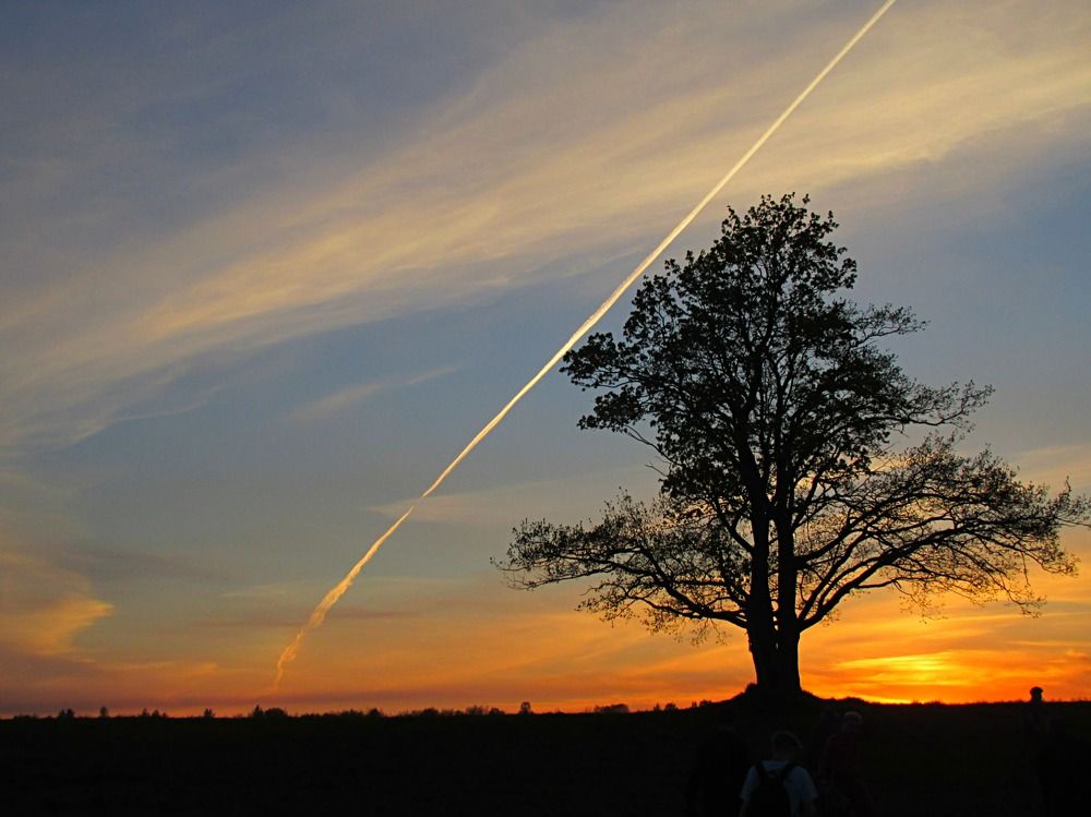 Photograph by Галина Пименова