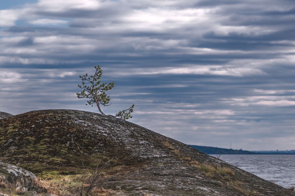 Photograph by Елена Амозова