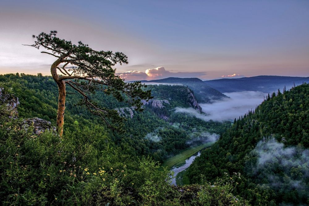 Photograph by Илфир Исламгазин