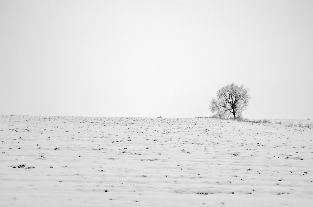 Photograph by Анатолий Святой