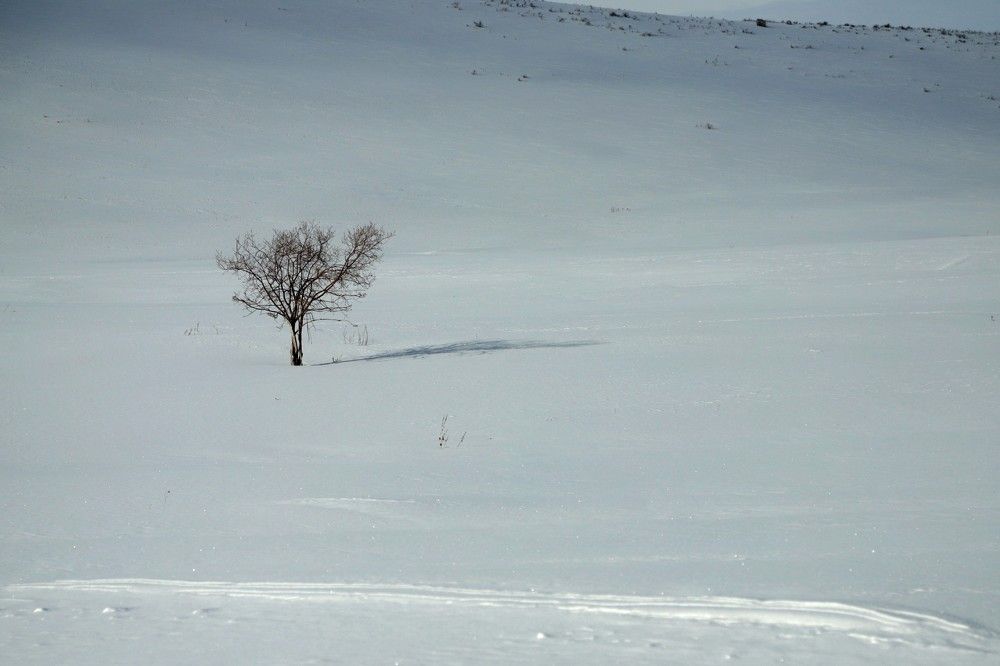 Photograph by Лада Денисова