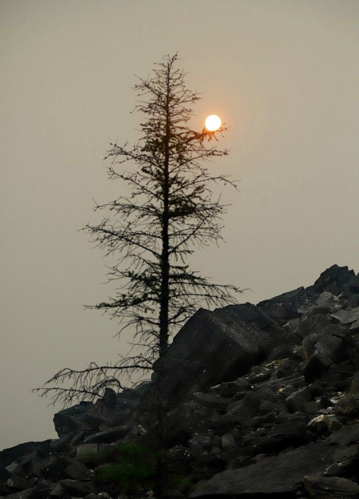 Photograph by Лада Денисова