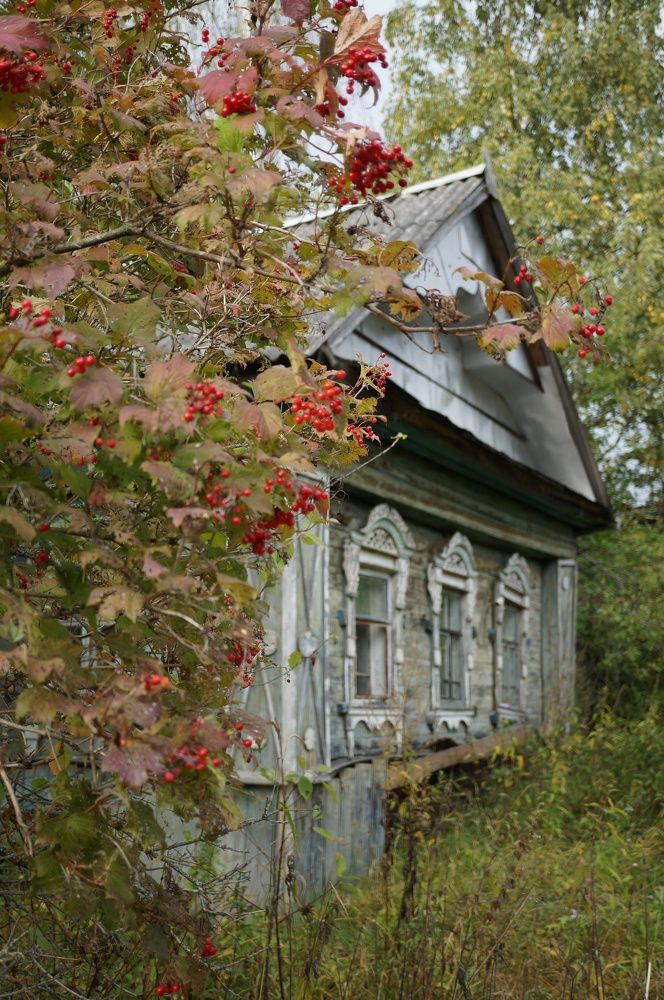 Photograph by Наталья Горбунова