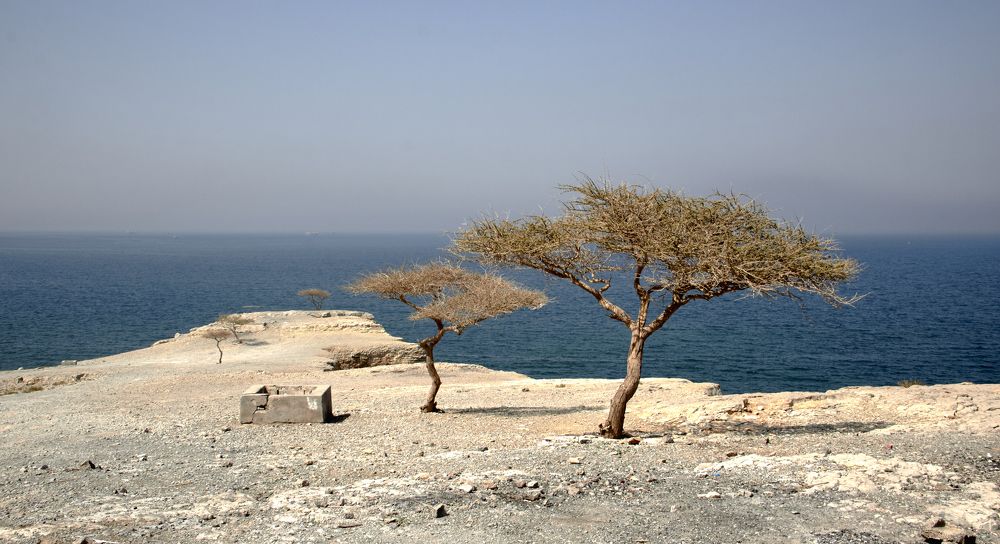 Фотография автора CIX Empire