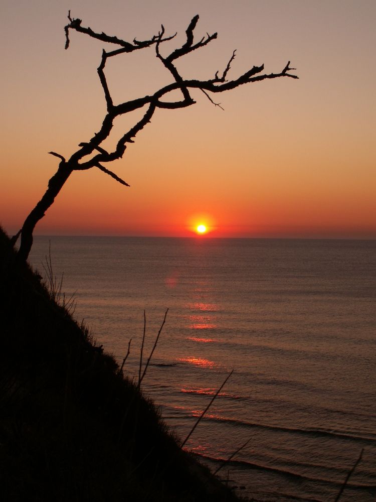 Photograph by Наталья Горбунова
