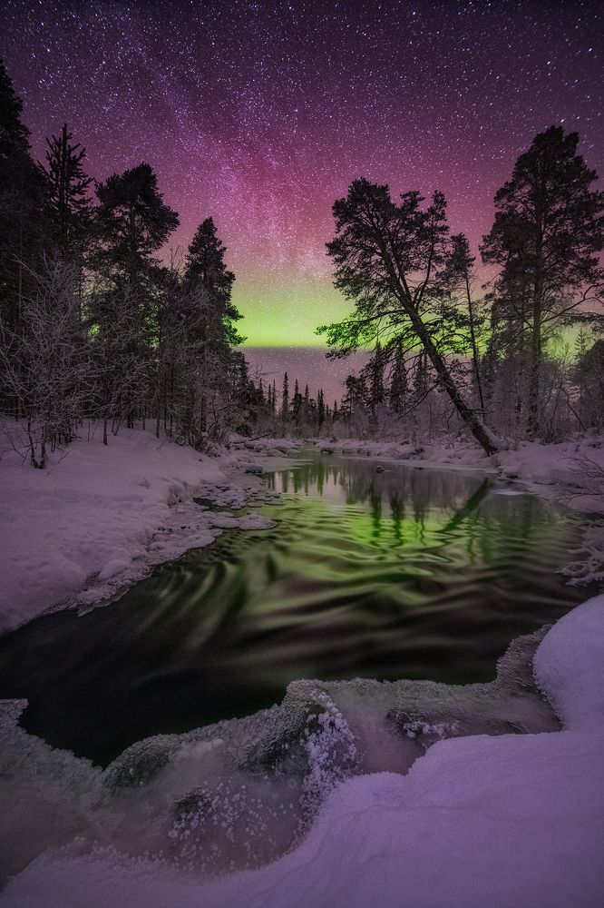 Photograph by Елена Ермолина