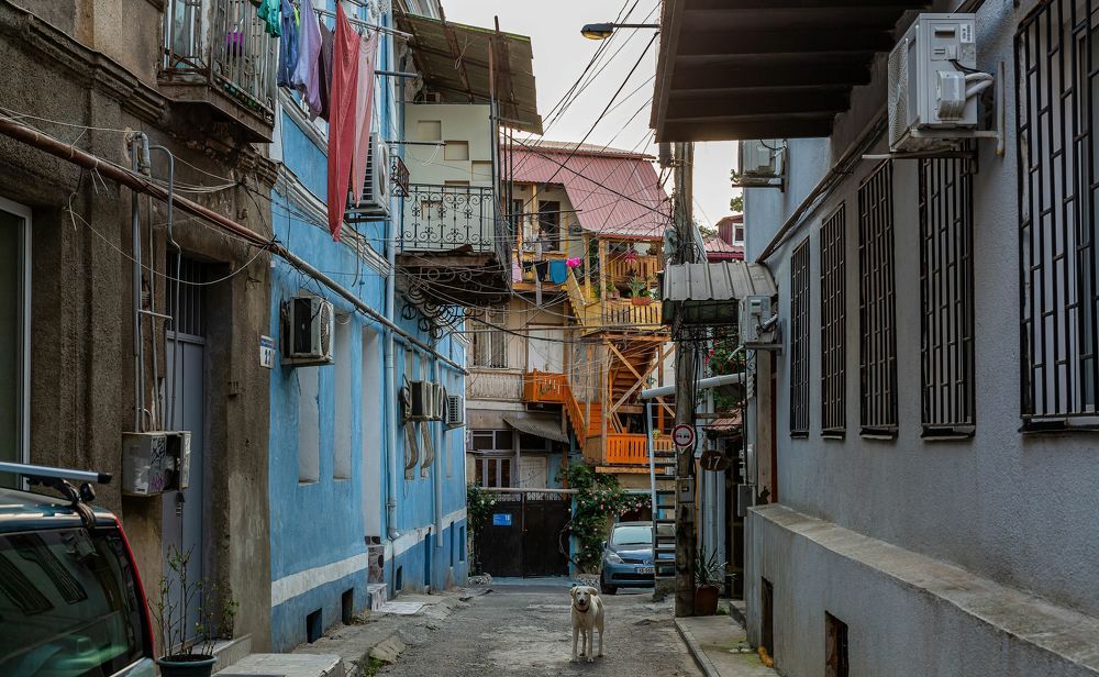 Photograph by yuri kutukov