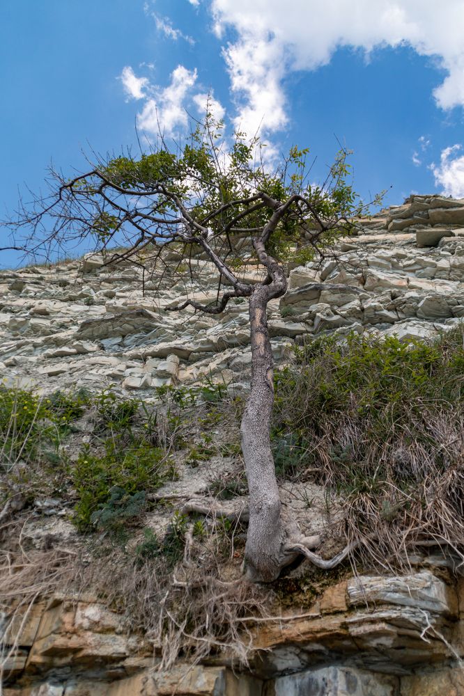 Photograph by Мария Громова