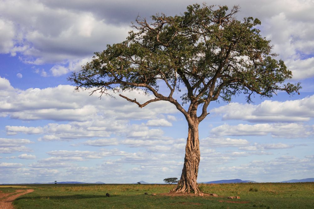 Photograph by Дария Максимова