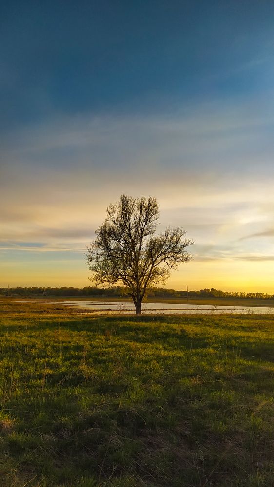 Photograph by Виталий Грачёв
