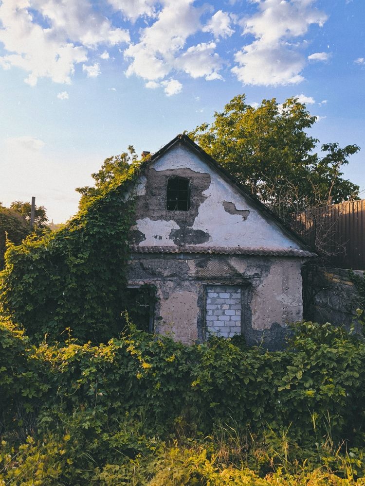 Фотография автора Екатерина Солодовник
