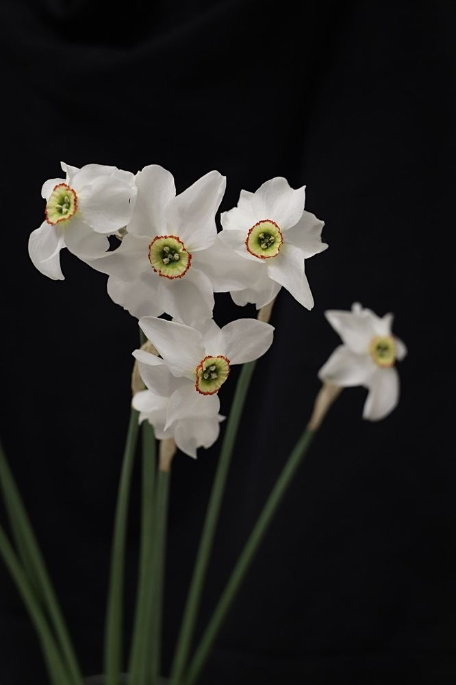 Photograph by Гульнара Айнетдинова