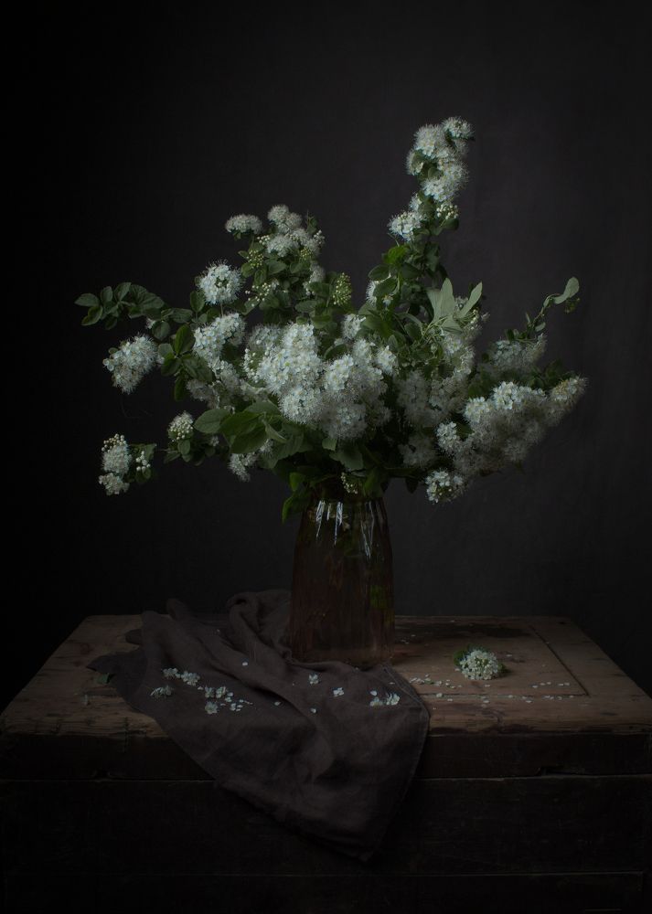 Photograph by Альбина Дылёва