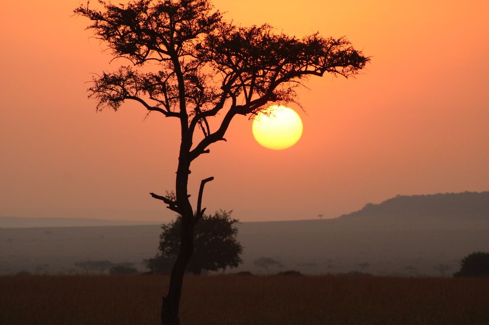 Photograph by Erasti Shish