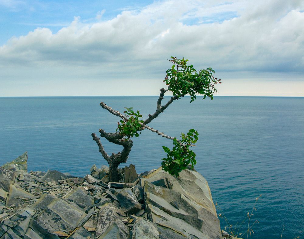 Фотография автора Руслан Комаров