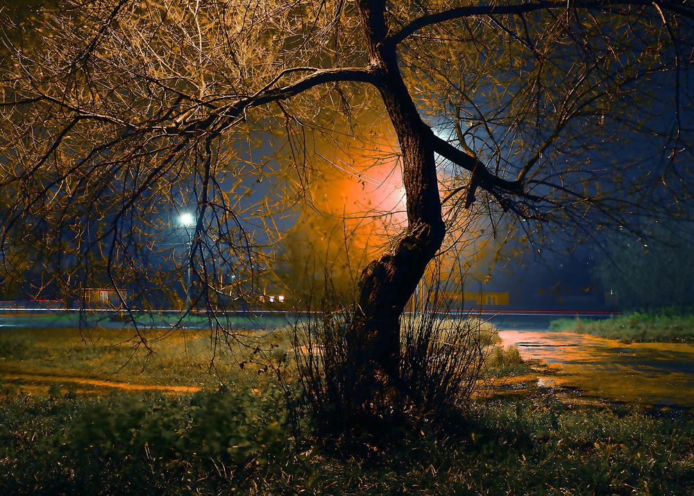 Photograph by Борис Назаров