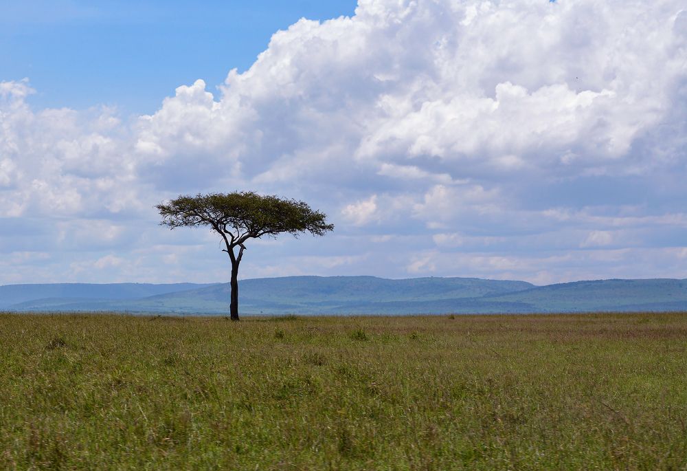 Photograph by Inna Ivanova