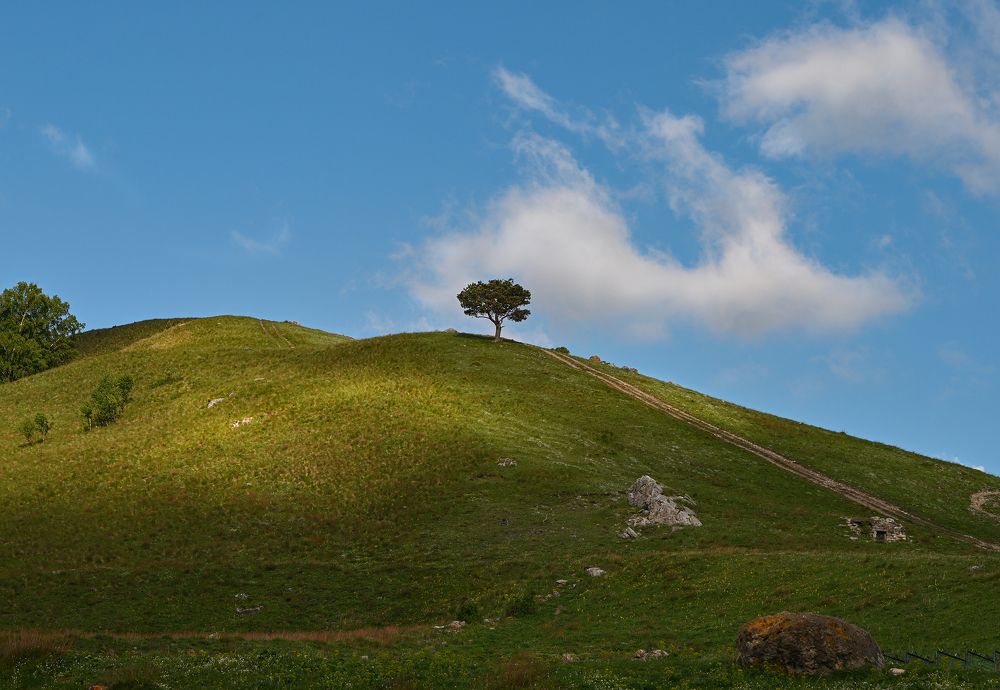 Photograph by Inna Ivanova