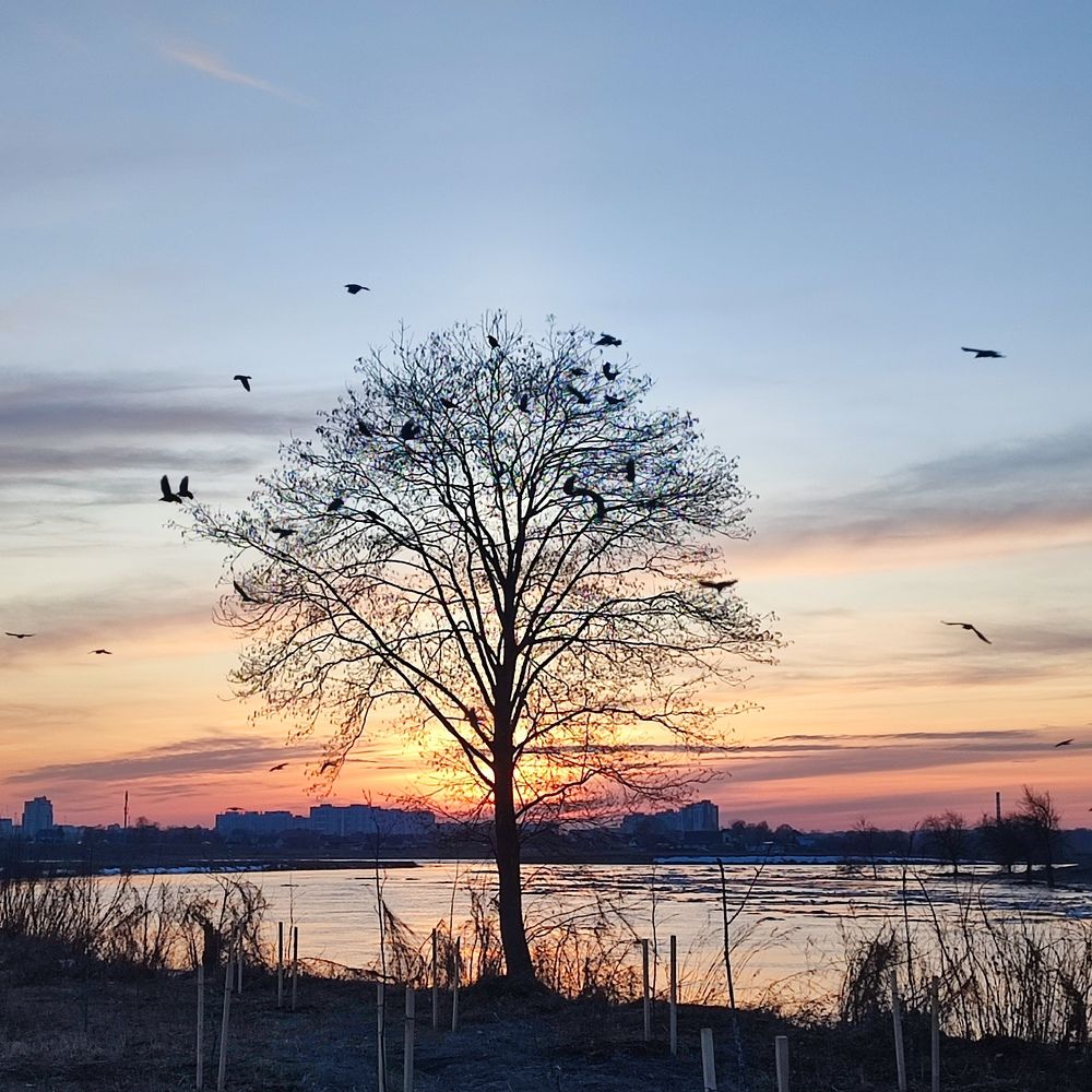 Photograph by Сергей Симаков