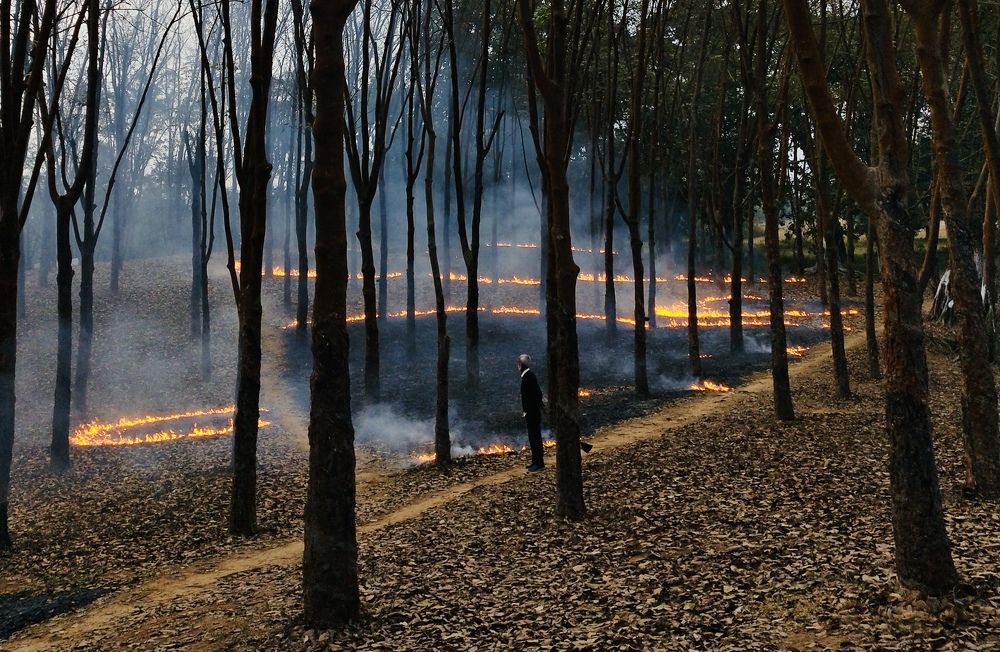 Photograph by Kaustubh Kalita