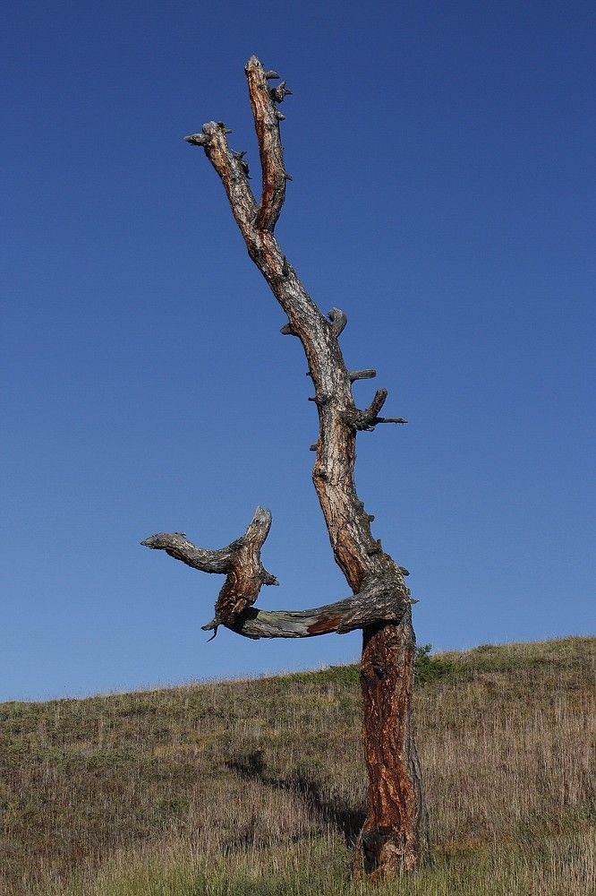 Photograph by Мария Самоловова