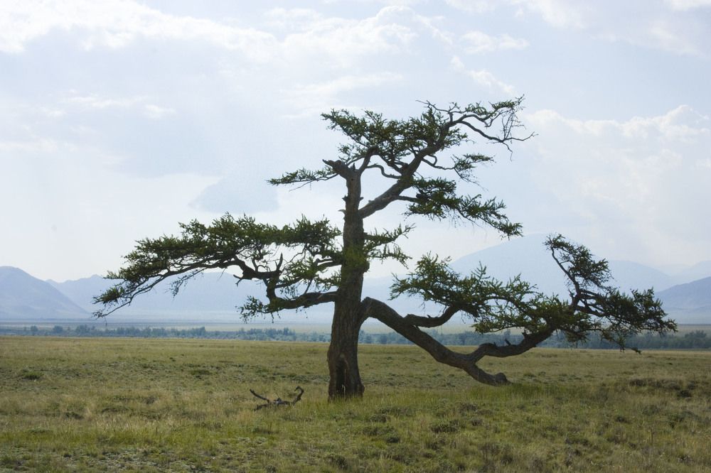 Photograph by Мария Самоловова