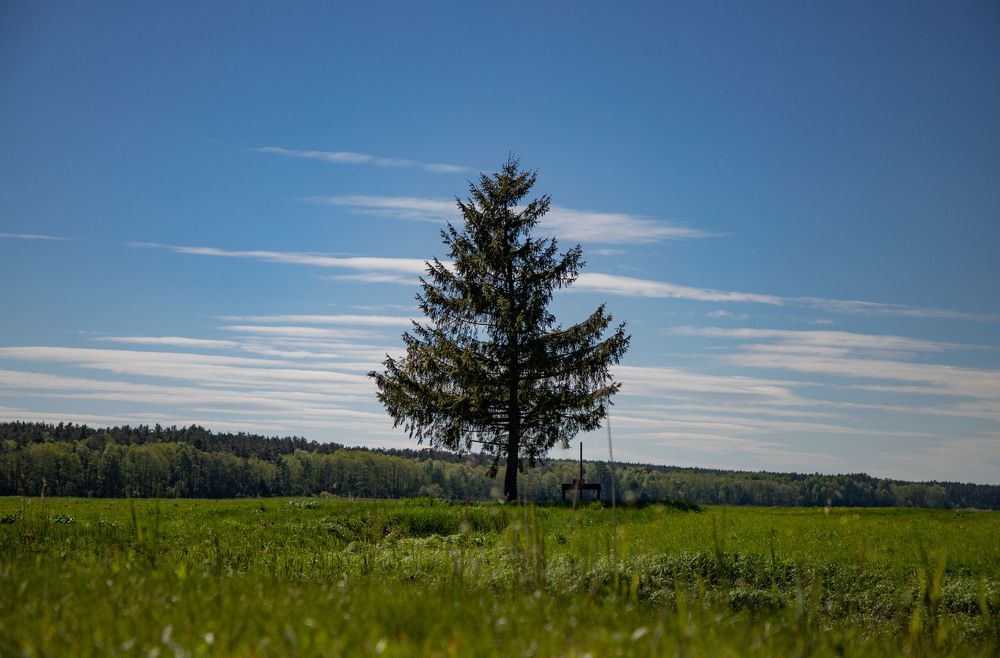 Photograph by Анна Евдокименко