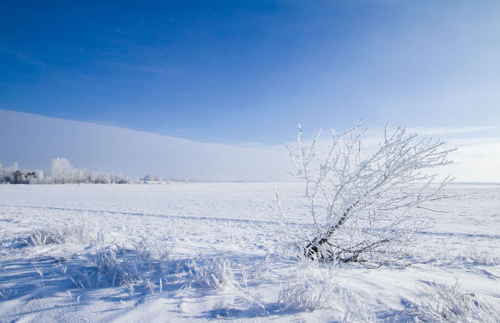 Photograph by Анна Евдокименко