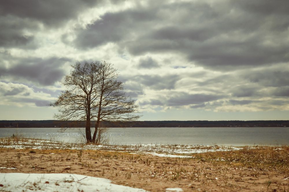 Photograph by Евгения Щеколдина
