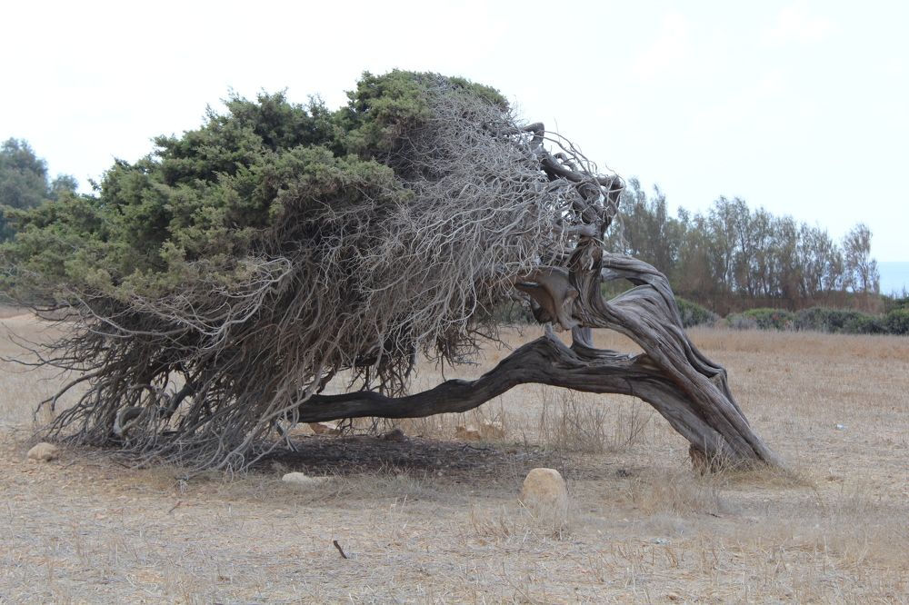 Photograph by Ketrin Ketrina