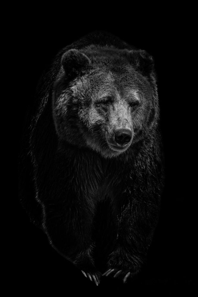 Photograph by Руднев Юрий