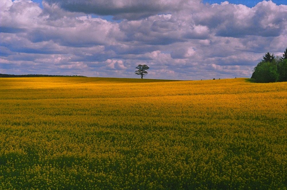 Photograph by Андрей Москалев