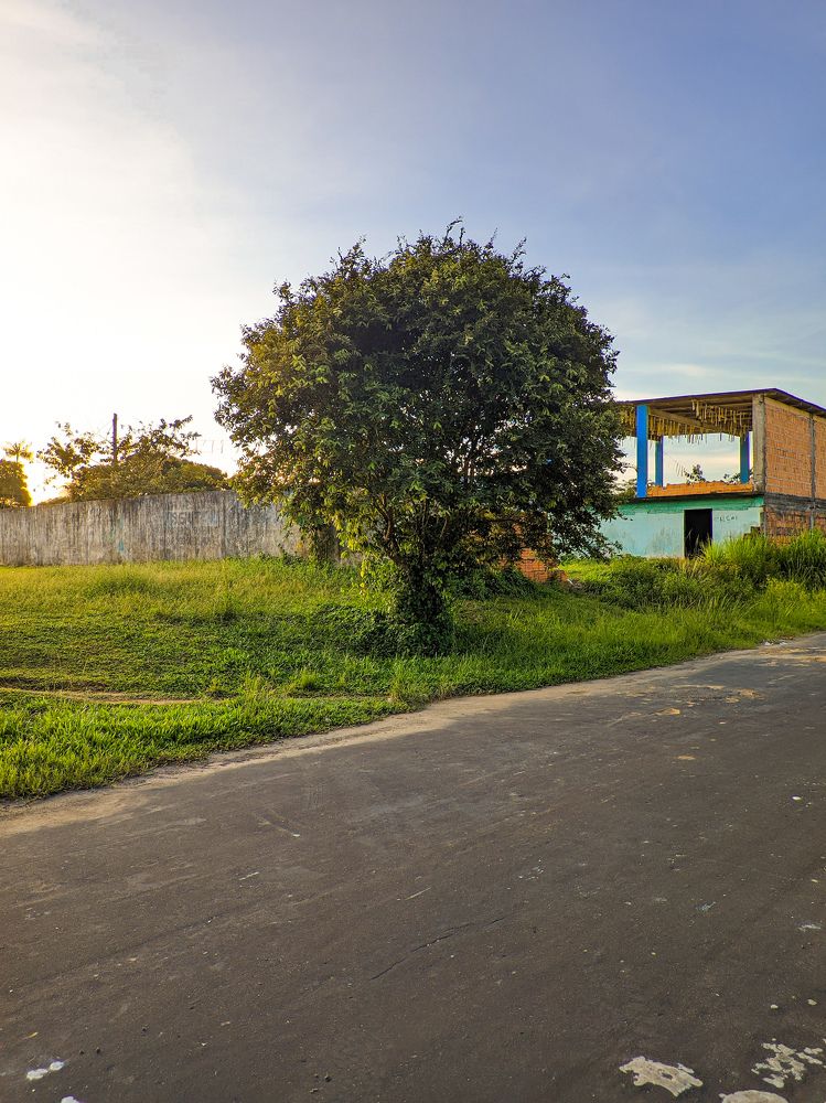 Photograph by Jailson Soares de Matos