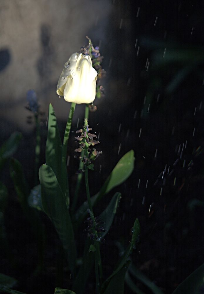 Photograph by Александр Макаренко