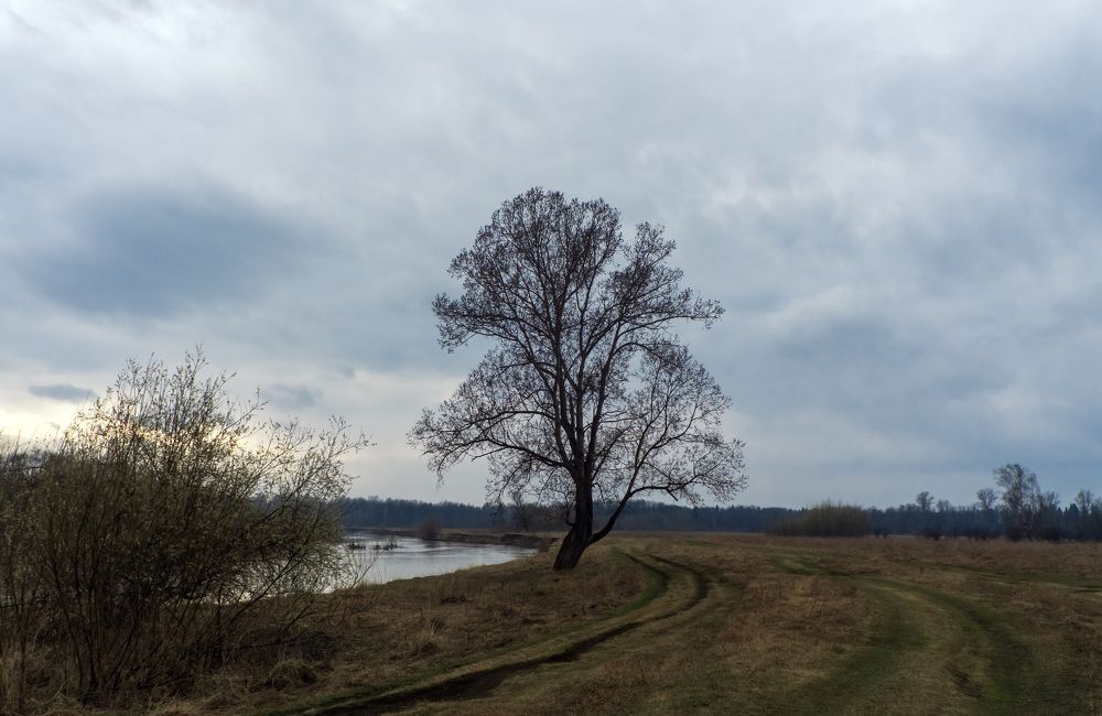 Photograph by Александр Пургин