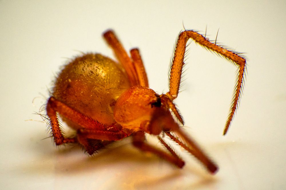 Photograph by mohamed