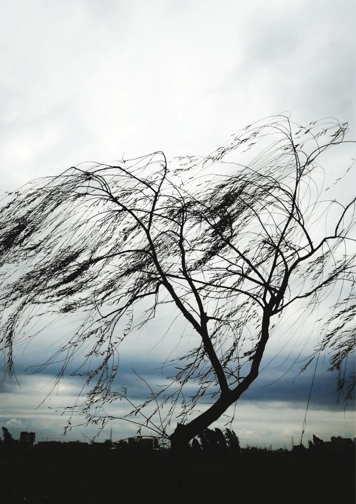 Photograph by Rehab Mohamed Ibrahim