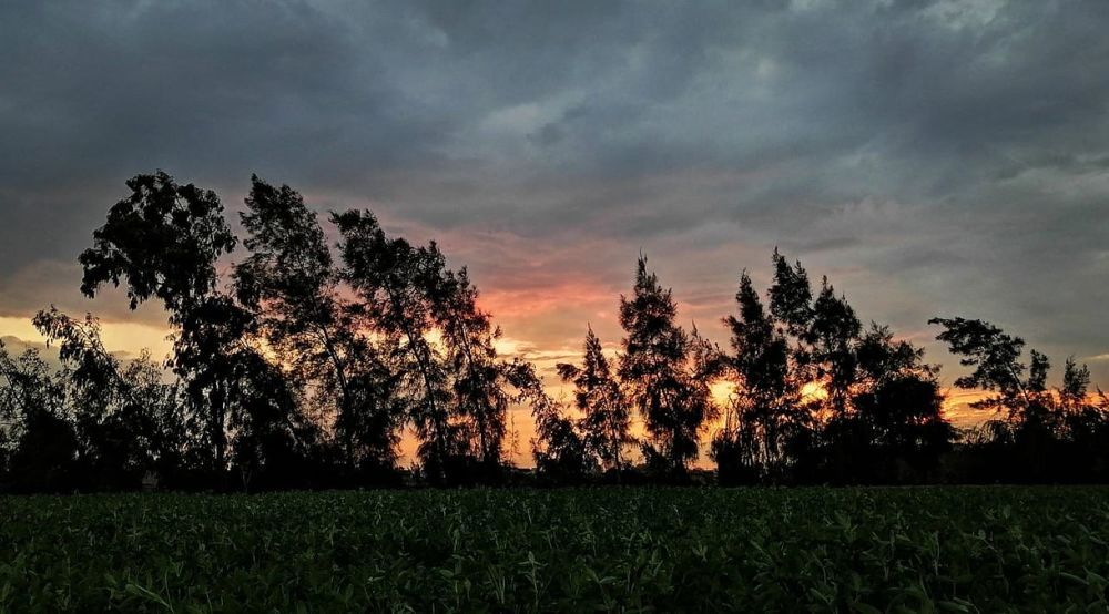 Photograph by Rehab Mohamed Ibrahim