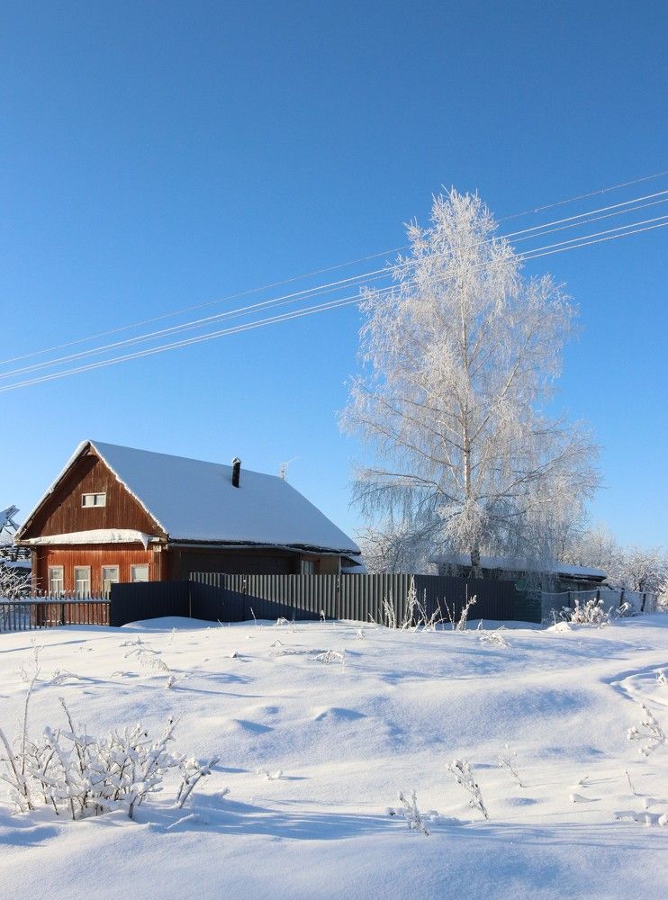 Photograph by Ирина Садовникова
