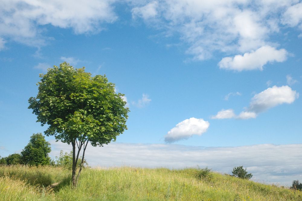 Photograph by Алла Никушкина