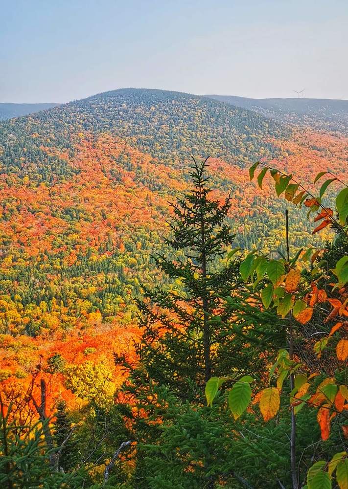 Quebec Indian autumn season