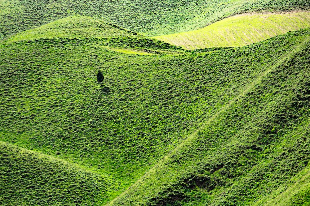 Photograph by Golestani Mojtaba