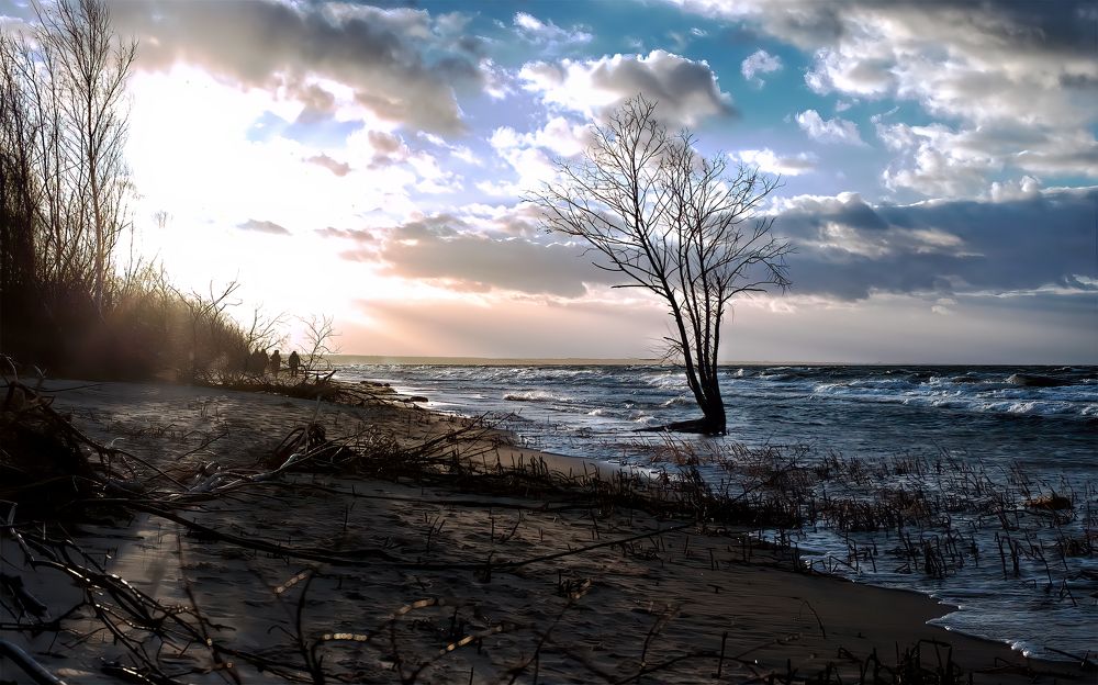 Фотография автора Godlevskis Ruslans