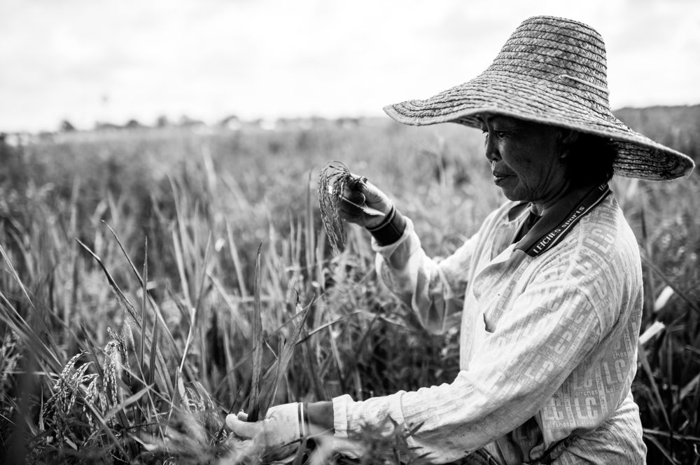 Photograph by Nunong Tindin