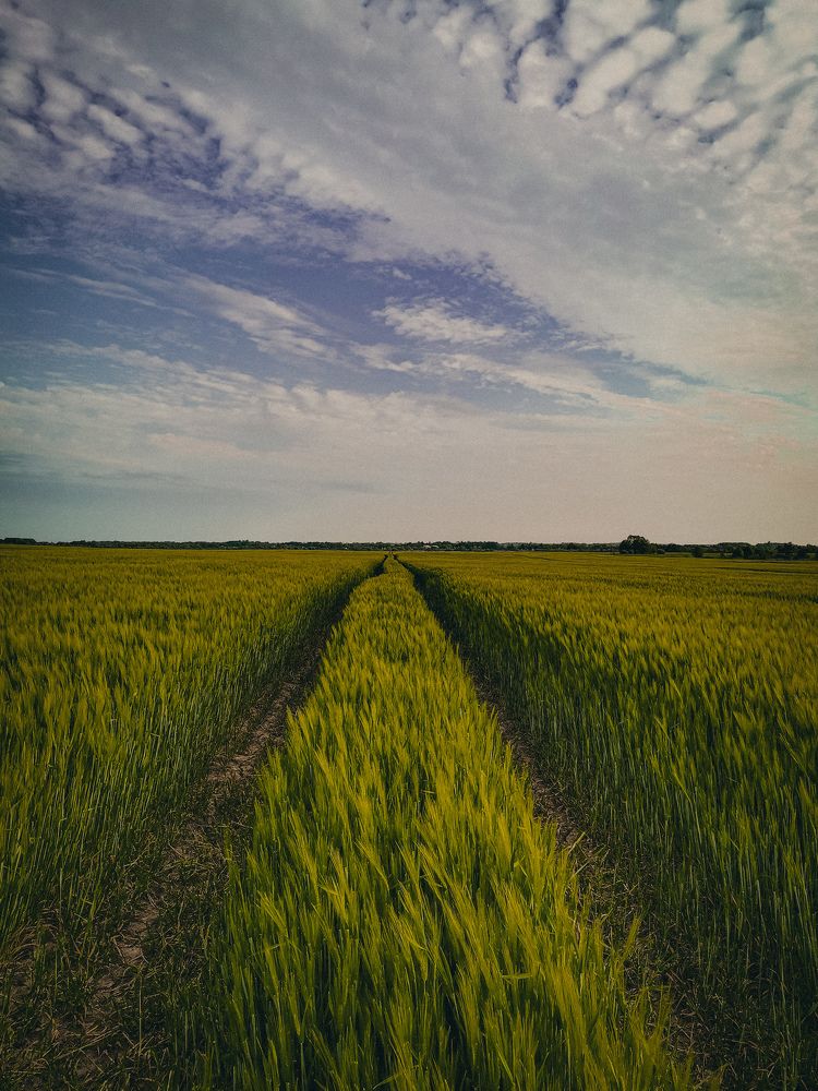 Photograph by Света Вирбицкас