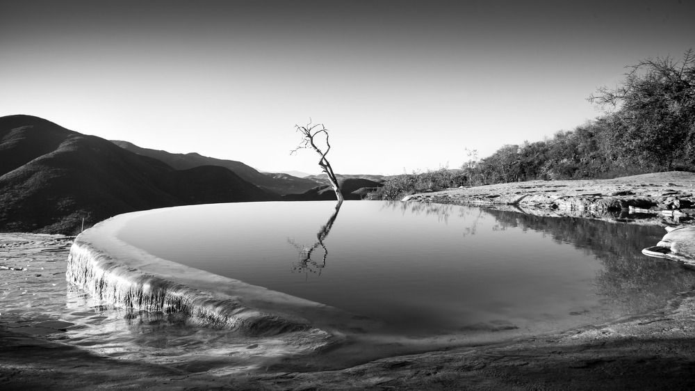 Photograph by Javier Robles